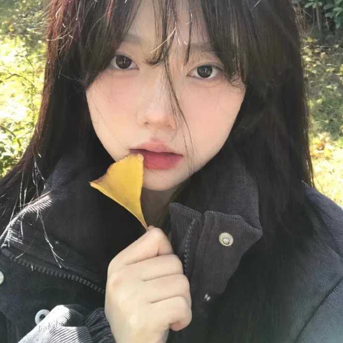 派特的幸福剧本